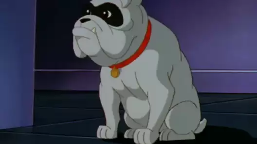 Forgotten Dogs: Bandit from Jonny Quest